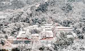 大觉寺观音殿 大觉寺大殿