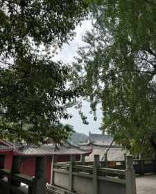 绵竹市寺庙钟成 绵竹市的寺庙