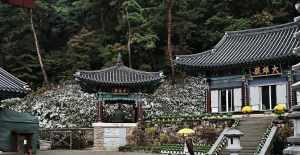 韩国 寺 韩国三级寺院