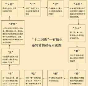 随佛法师十二因缘视频1 随佛法师讲十二因缘视频1