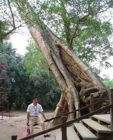 丛林寺院来了一个叫 丛林寺院来了一个叫什么来着