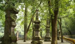 奉化寺院有哪些地方 奉化寺院