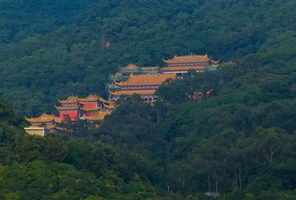 洛水观音寺视频 洛阳观音禅寺