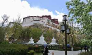 吉法酯片和奥美拉唑一起吃 高清春天寺院