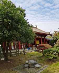 仿唐建筑 仿唐寺院