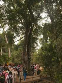 丛林寺院清规大全 法师讲寺院丛林规矩