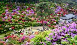 郑州观音寺门票多少 郑州观音寺怎么烧香