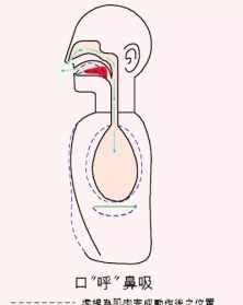 鼻子呼吸好处 注重鼻子呼吸佛学