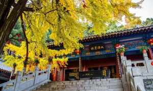 灵泉寺寺庙图片 灵泉寺的景点名称有哪些