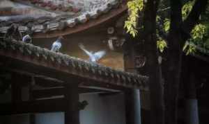 山东好的寺院 山东知名寺院