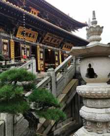 本通法师一诚东林寺 东林寺慧本法师