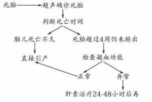 佛教讲胎死腹中的孩子 佛法解释胎死腹中