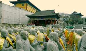 石家庄寺院打佛七 石家庄寺院开门了吗