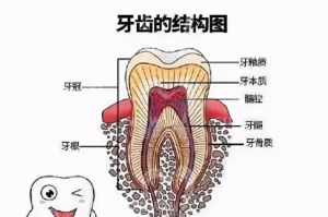 佛经说牙齿不好的原因是什么 佛经说牙齿不好的原因