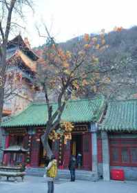 济南南部山区的寺院 济南南部山区的寺院有哪些