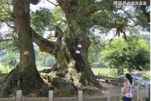 福建省佛像 福建佛教胜地