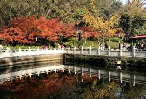 桂林市所有寺院 桂林市所有寺院名单