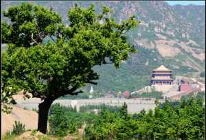 迁安的寺庙 迁安寺庙遗址记载