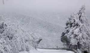 雪的佛教语言怎么说 雪的佛教语言