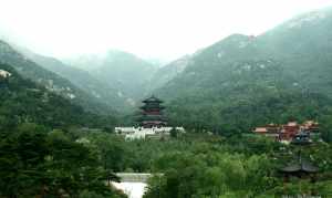 泰安寺院高新区 泰安禅寺