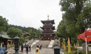 传喜法师庐山东林寺 传喜法师所在寺庙