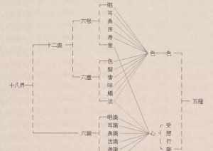 佛法的六识 佛学六识是什么