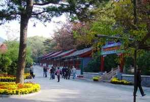 昌平那里有佛寺院 昌平哪里有寺庙