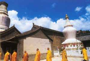 全国女尼寺院 全国女众寺院一览表