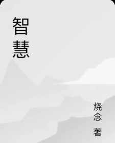 智谕法师全集 台湾智瑜法师著作