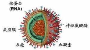 佛教如何说疫情 佛教怎么解释疫情