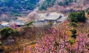 昌平区的寺院景点大全 昌平区寺院旧址地点