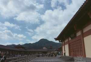 金华新建寺庙 金华新建寺庙招标