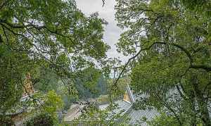 天台山寺院照片高清 天台山寺院照片