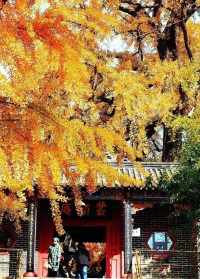 临沂 寺庙 临沂寺庙里有真寺庙