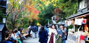 日本 京都 寺 东京都寺庙深寺