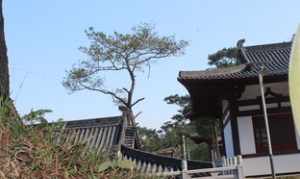 离开石观音寺 石观音在哪里