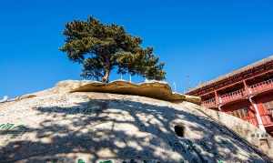 陕西天柱山在哪里 陕西天柱山寺庙