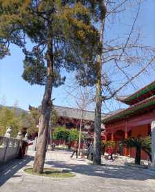 寺庙暑期夏令营 寺院夏令营宗教局