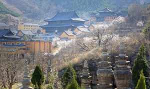 青州著名的寺庙 青州市寺庙知多少