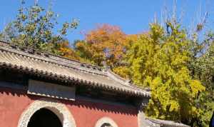 北京石景山区寺庙大全 石景山区寺院