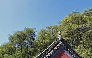 寺庙文化建设 寺院文化体验