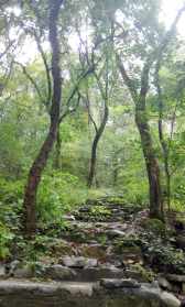 东方山景区电话 东方山寺庙联系电话