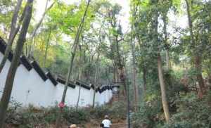 萧山有钟的寺庙 浙江萧山有哪些寺院