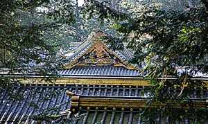 日本观音山在哪 日本观音寺院