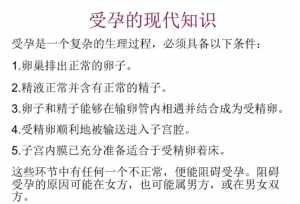 佛法中对受孕的解说 佛学怀孕