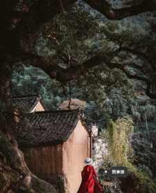 松阳哪些寺庙 松阳哪里有寺庙