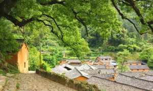 松阳哪些寺庙 松阳哪里有寺庙