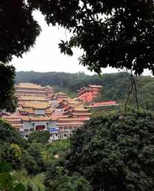 南国桃园观音寺什么时候免费开放 南国桃园观音寺招聘