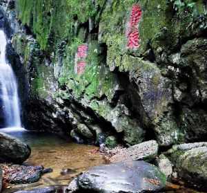 庐山佛教旅游论文 庐山佛教发展史