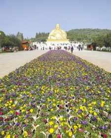 弥勒菩萨圣诞法会圆满 天津大悲寺星期几不开